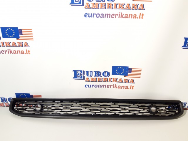 Lower Grille